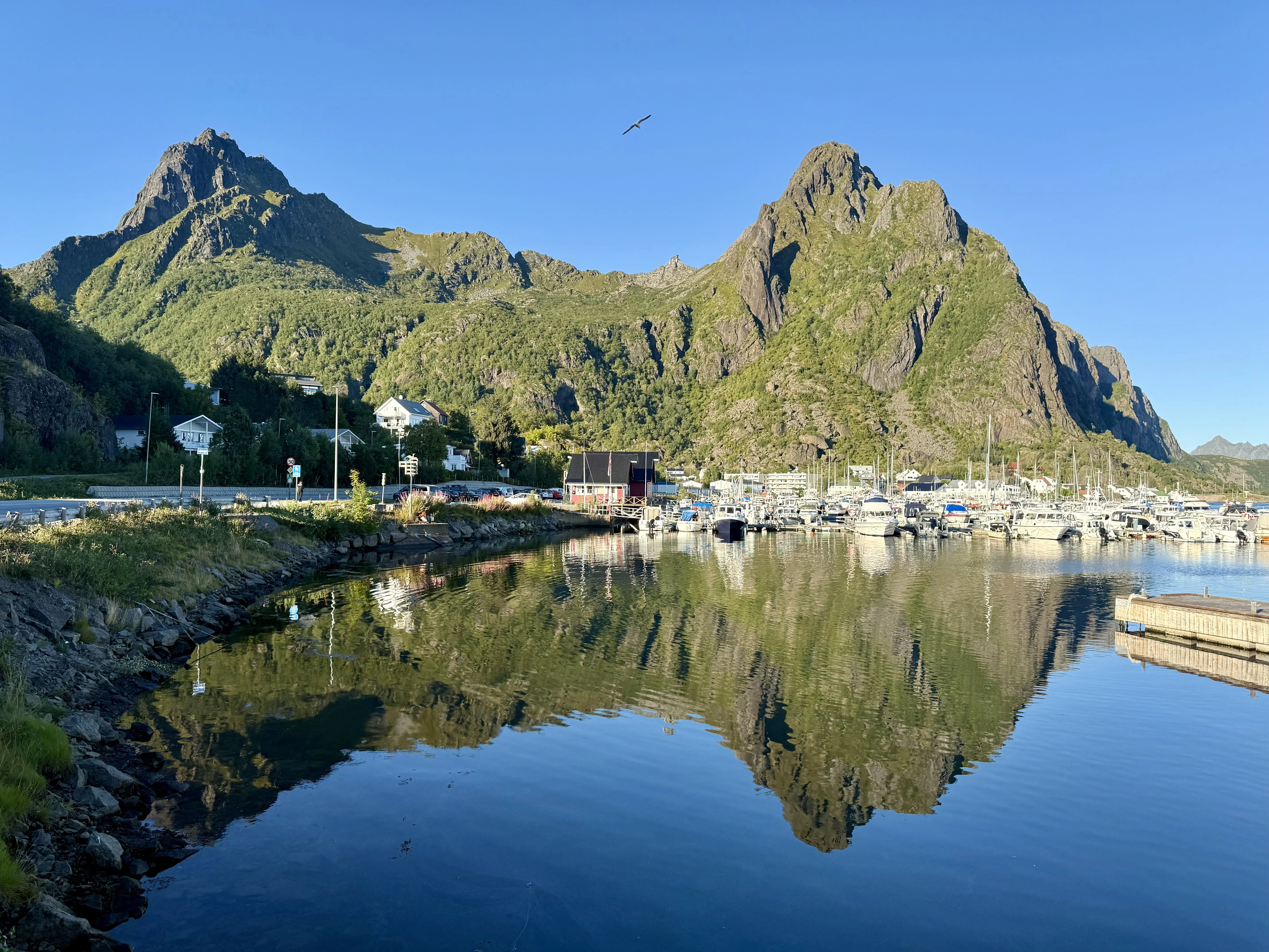 Harbour reflection scene in Lofoten, Norway